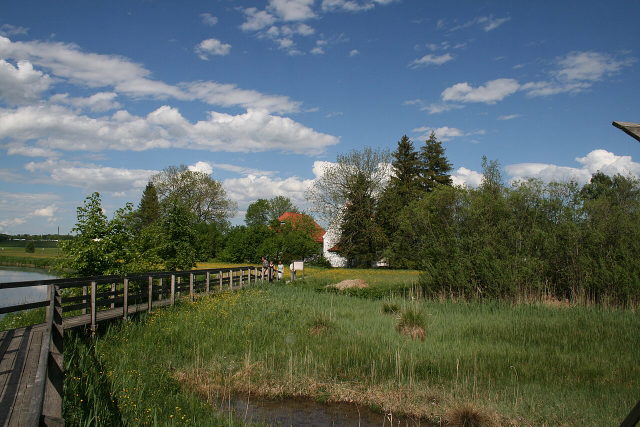 Holzsteg am Benninger Ried mit Wiesen, Wasser und Bäumen