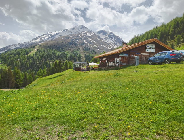Gampe Thaya auf der Gampe Alm vor bewaldeten Berghängen und alpiner Bergkulisse