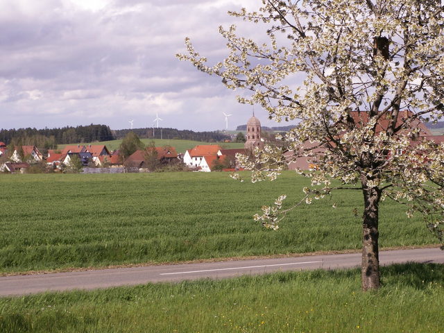 Blick über Wiesen auf Mariazell in Eschbronn.