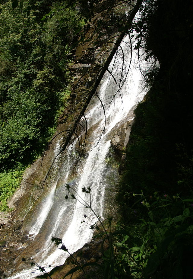 Haselbach-Wasserfall zwischen Felsen und Bäumen bei Hart im Zillertal