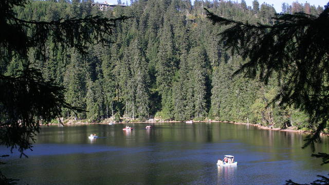 Welcher Schwarzwaldsee passt zu dir? Vier Ziele für unterschiedliche Ausflugstage