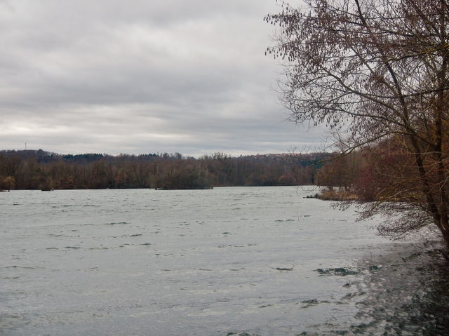 Uferlandschaft am Baggersee Kirchentellinsfurt