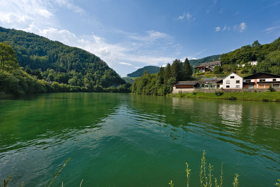 Familienerlebnisse in Reichraming – Waldwildnis, Bodentiere und Nationalparkentdeckungen