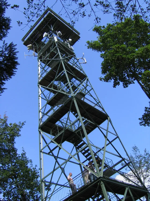 Grüner Metallbeobachtungsturm mit Treppenstufen vor Baumumgebung.