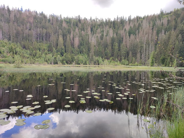 Blick vom Nordufer auf den Huzenbacher See