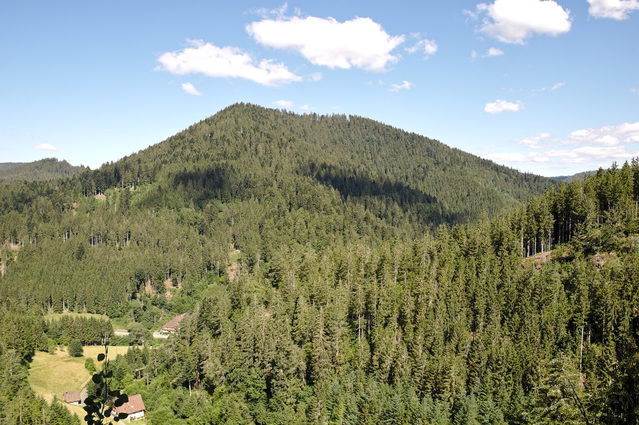 Bewaldete Schwarzwaldhänge bei Bad Rippoldsau-Schapbach