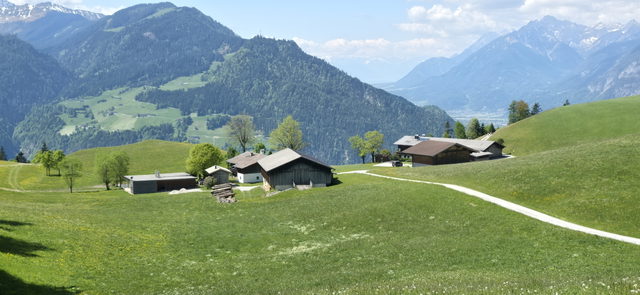 Grüne Wiesen und Höfe am Reither Kogel und Hinterkogel