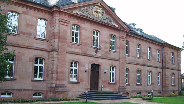 Westpfalz mit Kindern: Waldwissen, Entdeckungen und kleine Pausen