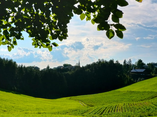 Blick von Osten auf Maria Schmolln
