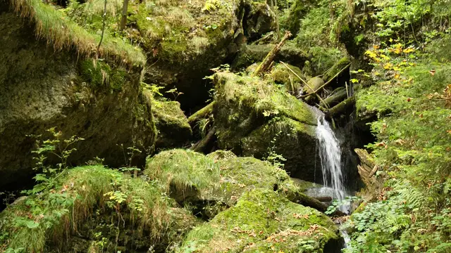 Wasser und moosbewachsene Felsen am Hinanger Wasserfall. Detailausschnitt einer Aufnahme vom 8. Oktober 2009.