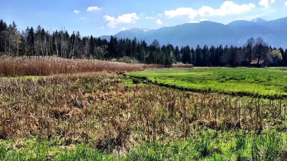 Landschaftliche Feld- und Waldszenerie mit Bergen im Hintergrund und blauem Himmel.