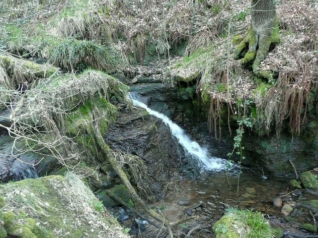 Symbolbild: Kleiner Wasserfall über Felsstufen in einem Waldgraben