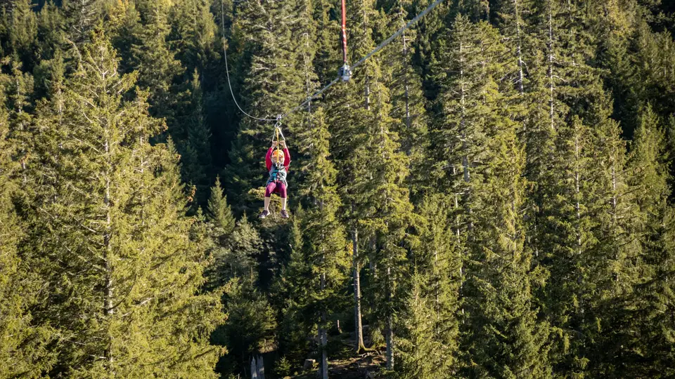 Person auf Seilrutsche über Wald