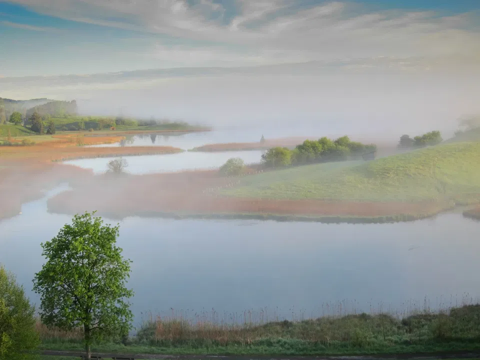Osterseen bei Iffeldorf – Seenlandschaft und Natur entdecken