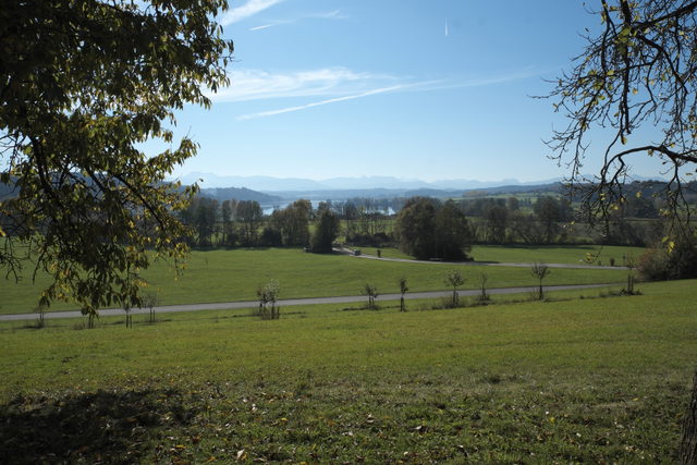 Blick von Coloman über die Landschaft am Tachinger See