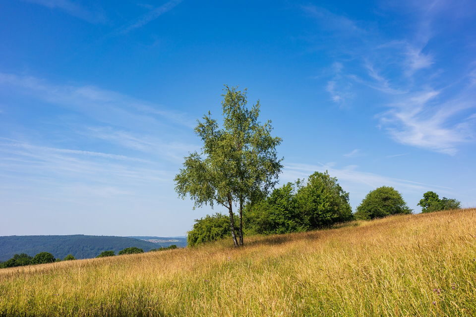 Madonnen-Radweg im Katzenbuckelgebiet – von Langenelz bei Mudau nach Zwingenberg
