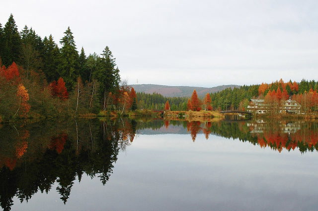 Herbstwald und Hotel spiegeln sich im Fichtelsee