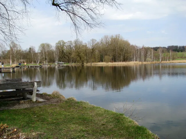 Ufer eines ruhigen Sees mit Holzbank im Vordergrund und Baumreihen am Rand