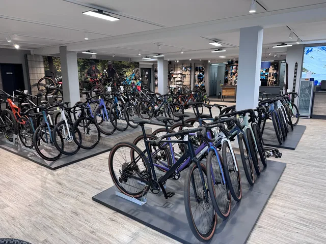 Viele Fahrräder stehen auf Ausstellungsständern in einem Fahrradgeschäft.