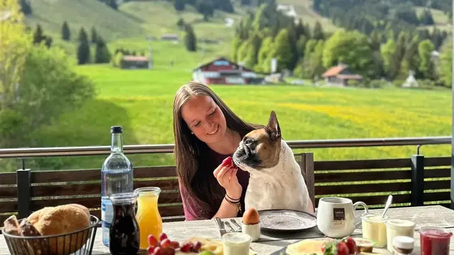 Vier Pfoten, große Reiselust & ganz viel Abenteuer im Allgäu mit Alicia