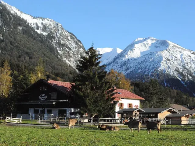 Blick auf den Landhof mit Kühen auf der Wiese