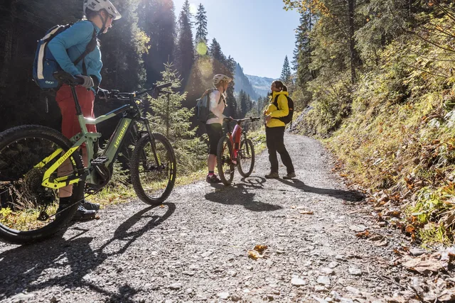 Drei Radfahrer auf einem Waldweg vor Berggipfeln