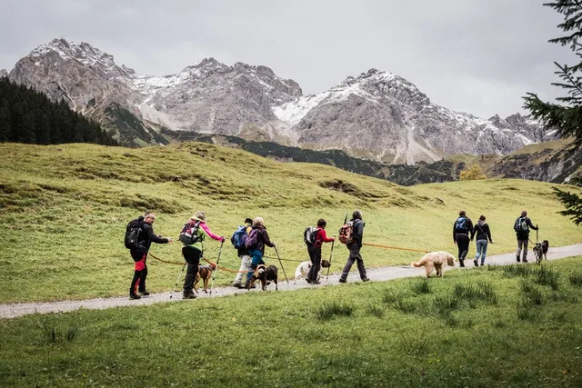 Wandergruppe mit angeleinten Hunden vor felsigen Berggipfeln