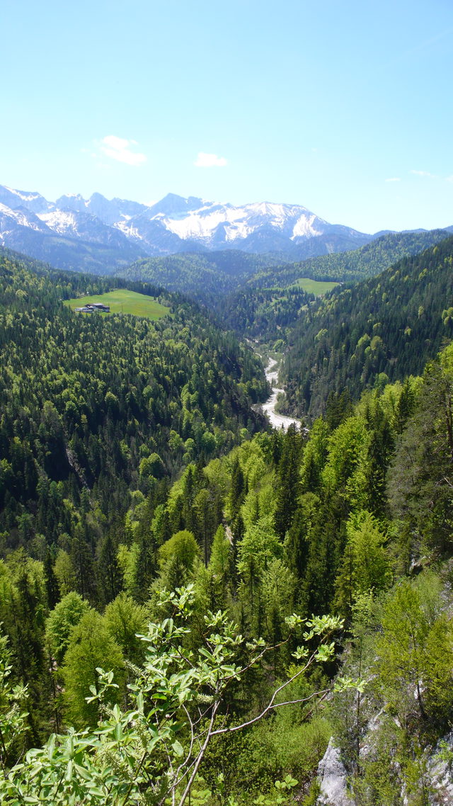 Blick von Steinberg am Rofan ins bewaldete Tal Richtung Brandenberg