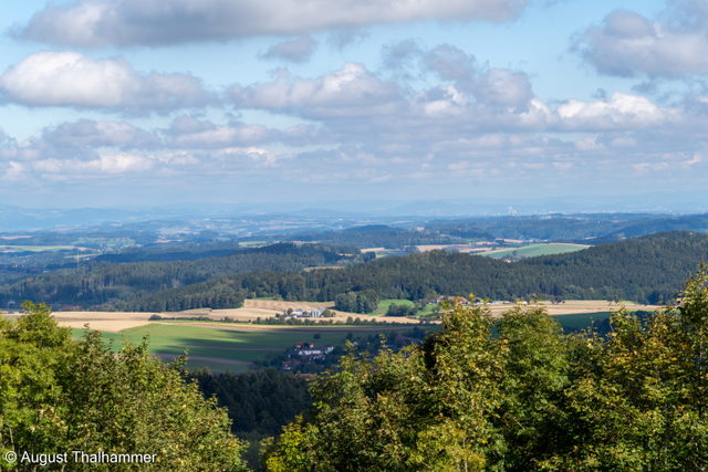 Im Umfeld von Kohlgrube in Wolfsegg am Hausruck