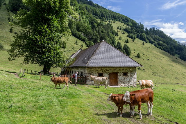Blumauer Alm im Nationalpark Kalkalpen als regionales Landschaftsmotiv