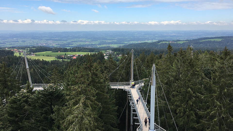 Baumwipfelpfad und Hängebrücken im Waldwelt Skywalk Allgäu bei Scheidegg