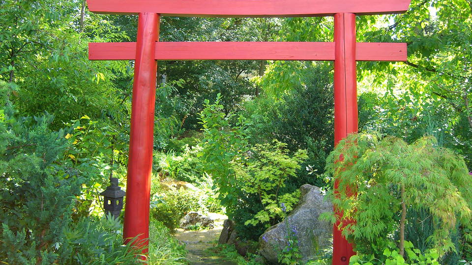Rotes Torii zwischen grünen Pflanzen im Botanischen Garten Erlangen