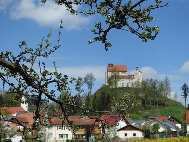 Burg Waldburg über dem Ort Waldburg