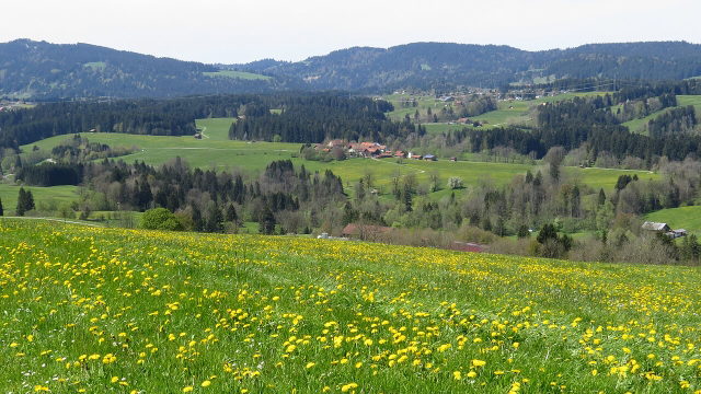 Blick über Wiesen bei Siebers in der Gemeinde Weiler-Simmerberg