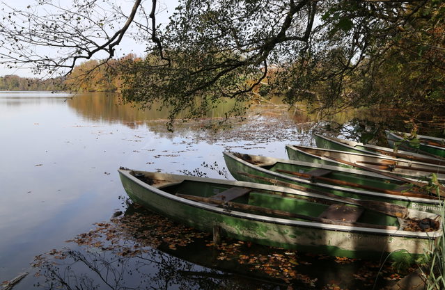 Uferlandschaft am Langbürgner See in der Eggstätt-Hemhofer Seenplatte