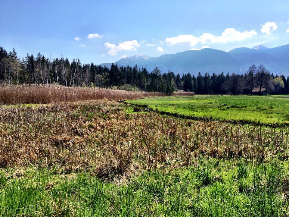 Moosrunde ab Murnau – Radtour über Grafenaschau, Eschenlohe und Ohlstadt