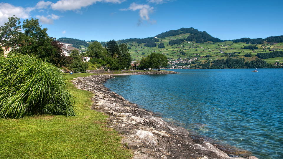 Uferwiese und Seezugang am Badeplatz Neuseeland in Buochs