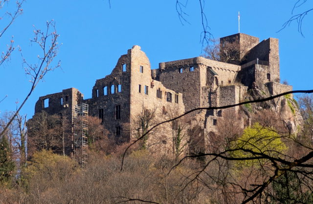 Burgruine Hohenbaden am bewaldeten Hang über Baden-Baden