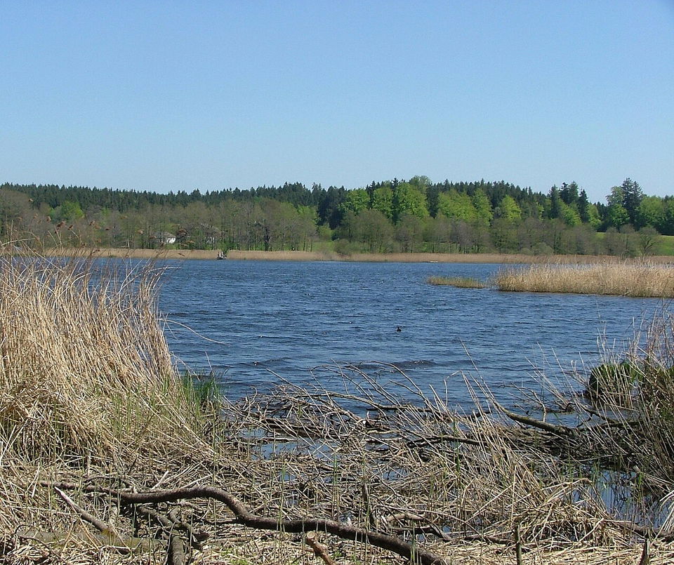 Sechs-Weiher-Wanderung ab Wolfegg – über Neuhaus und Eintürnenberg