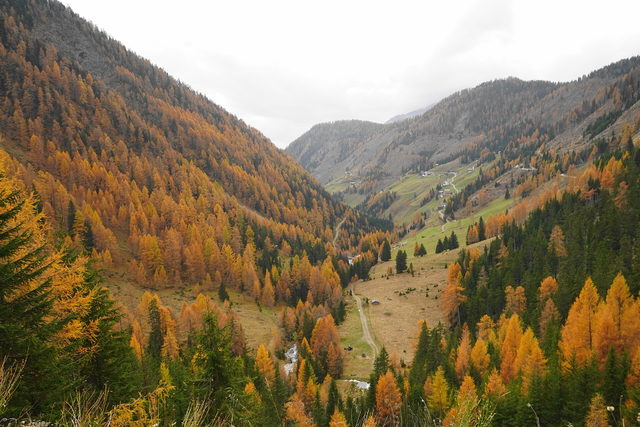 Almlandschaft im Astental
