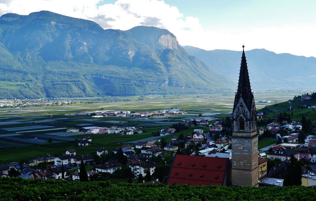 Blick auf Tramin an der Weinstraße