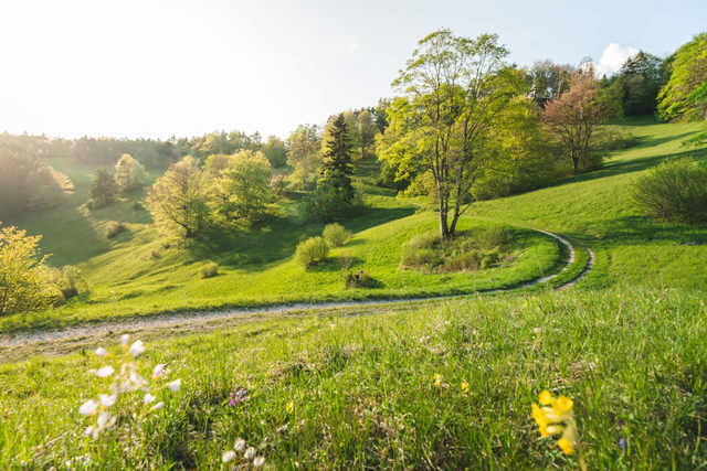 Wiesenlandschaft im Roschbachtal bei Albstadt
