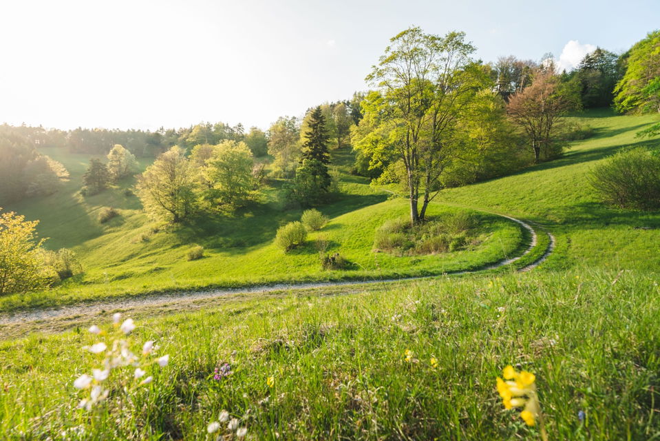 Wiesenrunde Albstadt-Pfeffingen: Irrenberg, Roschbach und Hohenzollernblick