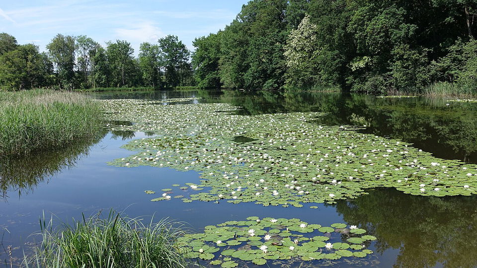 Weiherweg Roggenburg – Rundwanderung zur Wannenkapelle