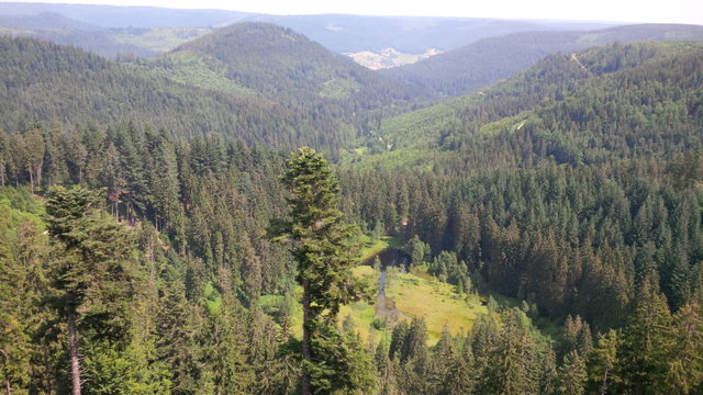 Blick vom Kniebis auf den Ellbachsee und die bewaldeten Schwarzwaldhänge.