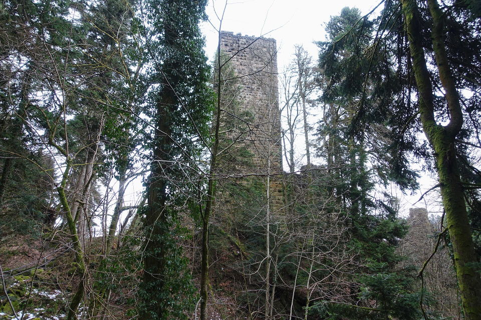 Rhein-Murg-Radrunde – Laufenburg, Hottingen und Felsentunnel