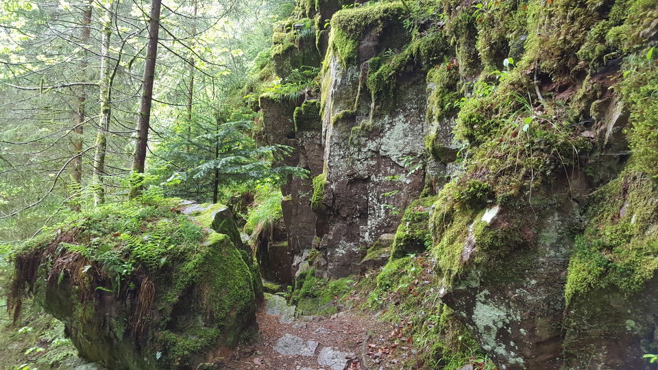 Winkelbergsee – Waldwanderung und Wasserspielplatz bei Längenfeld