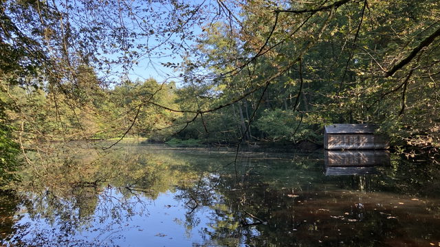 Huckinger See im Weilhartsforst