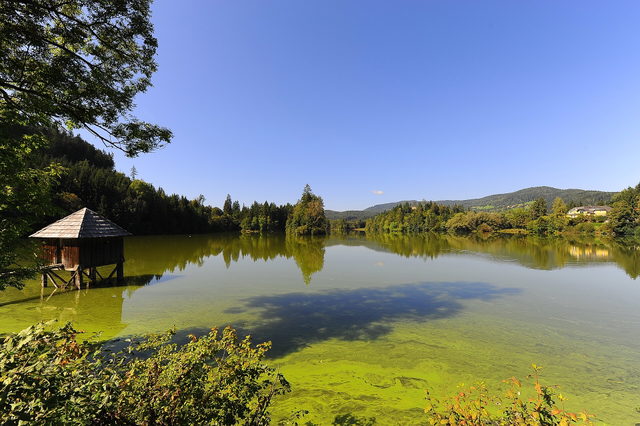 Teichlandschaft bei Moosburg als Landschaftsmotiv