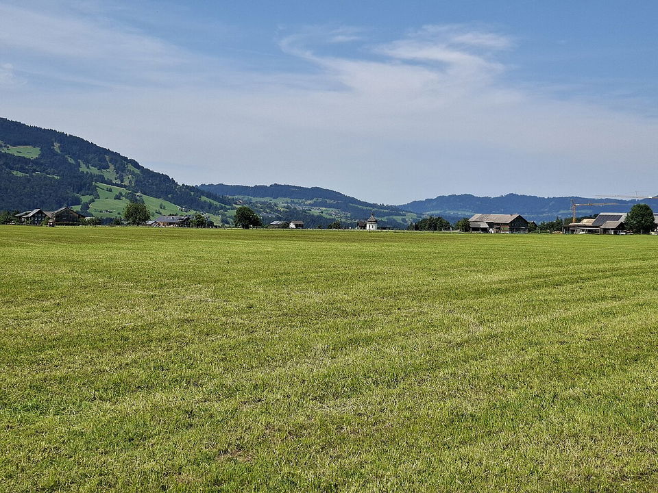 Natur.Museum Lingenau – Lebensräume unter freiem Himmel entdecken